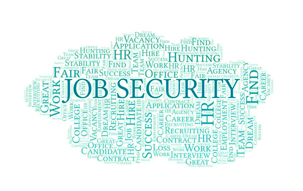 Finding a Field With Job Security